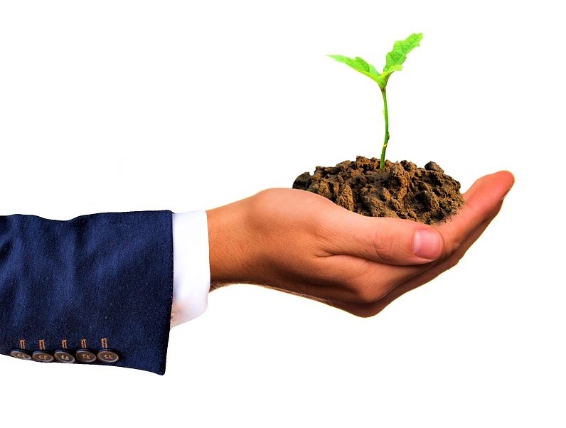 Financial Expert can help by providing financial education