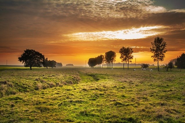 How to invest in land - population growth leads to demand