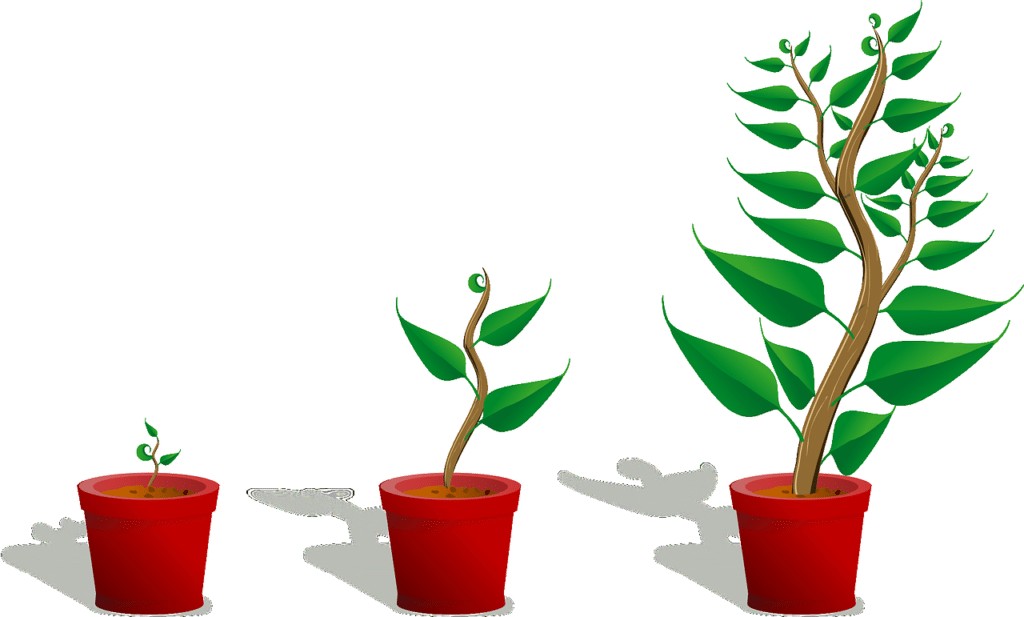 Growth investing